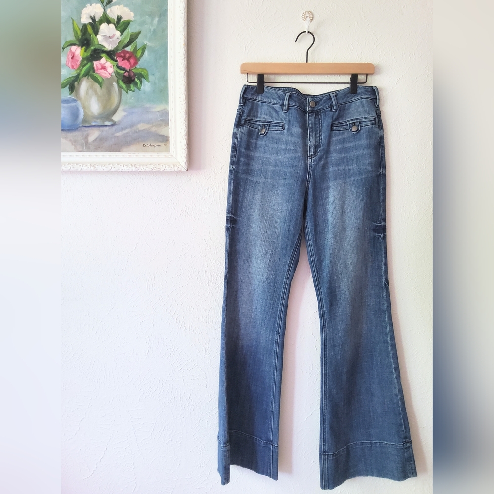 Anthropologie Pilcro and the Letterpress Superscript Flare Jeans Sz.29 PETITE
